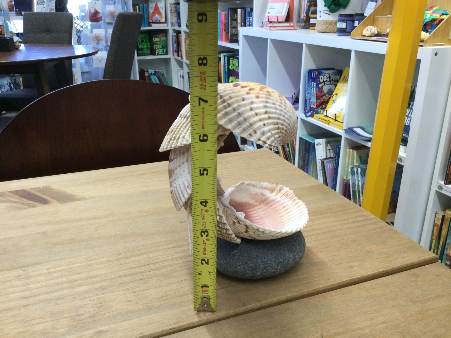 Nic’s Nacs Large Cockle Shell Wave Dish decor