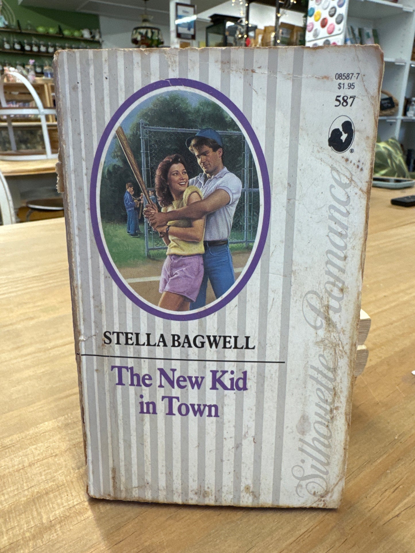 New Kid In Town (Silhouette Romance)