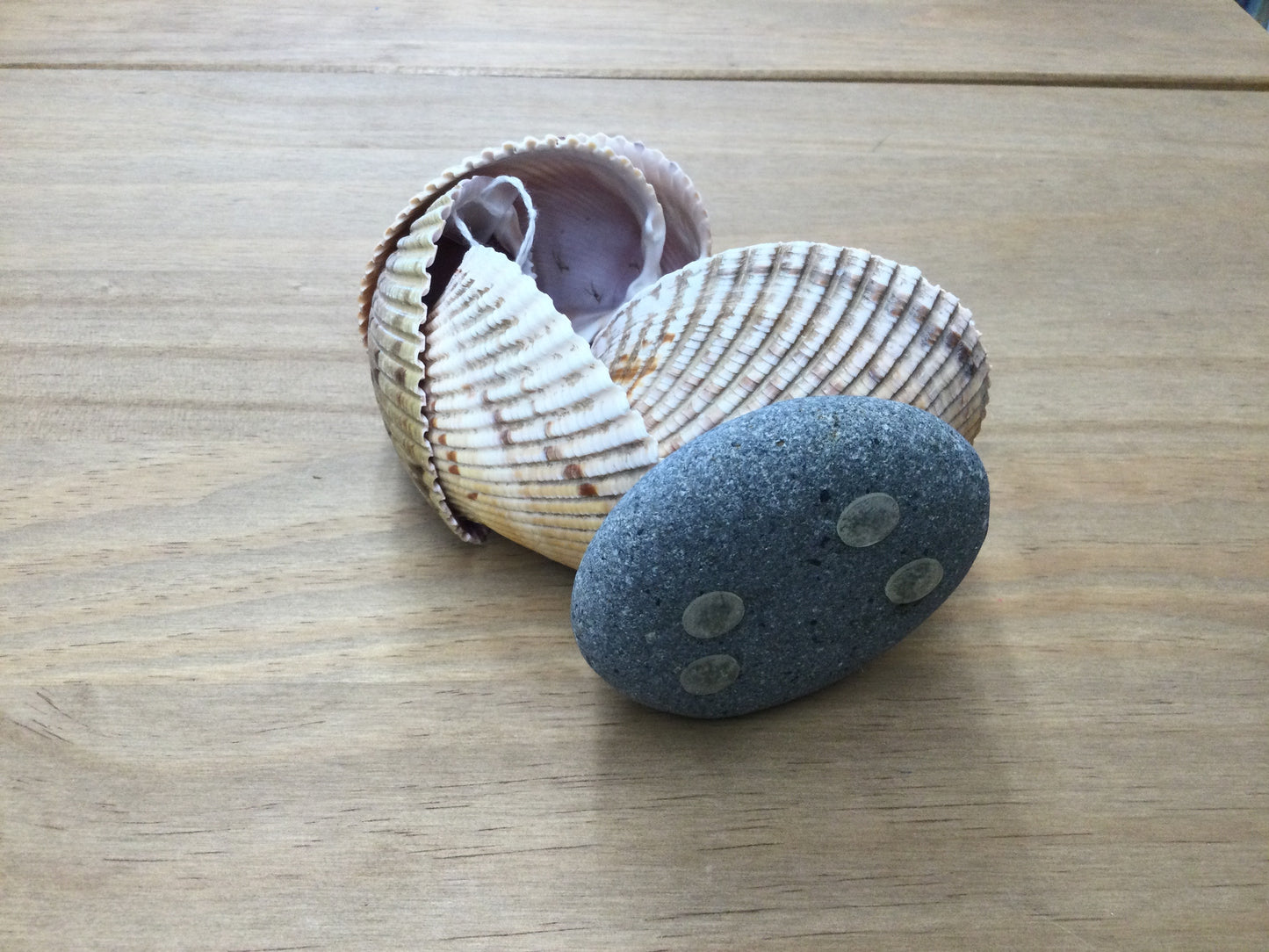 Nic’s Nacs Cockle Shell Wave Dish