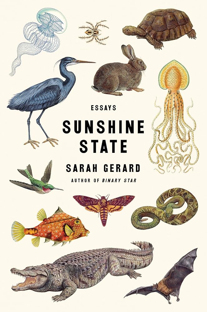 Sunshine State: Essays cover image