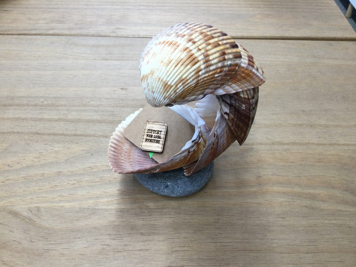 Nic’s Nacs Cockle Shell Wave Dish