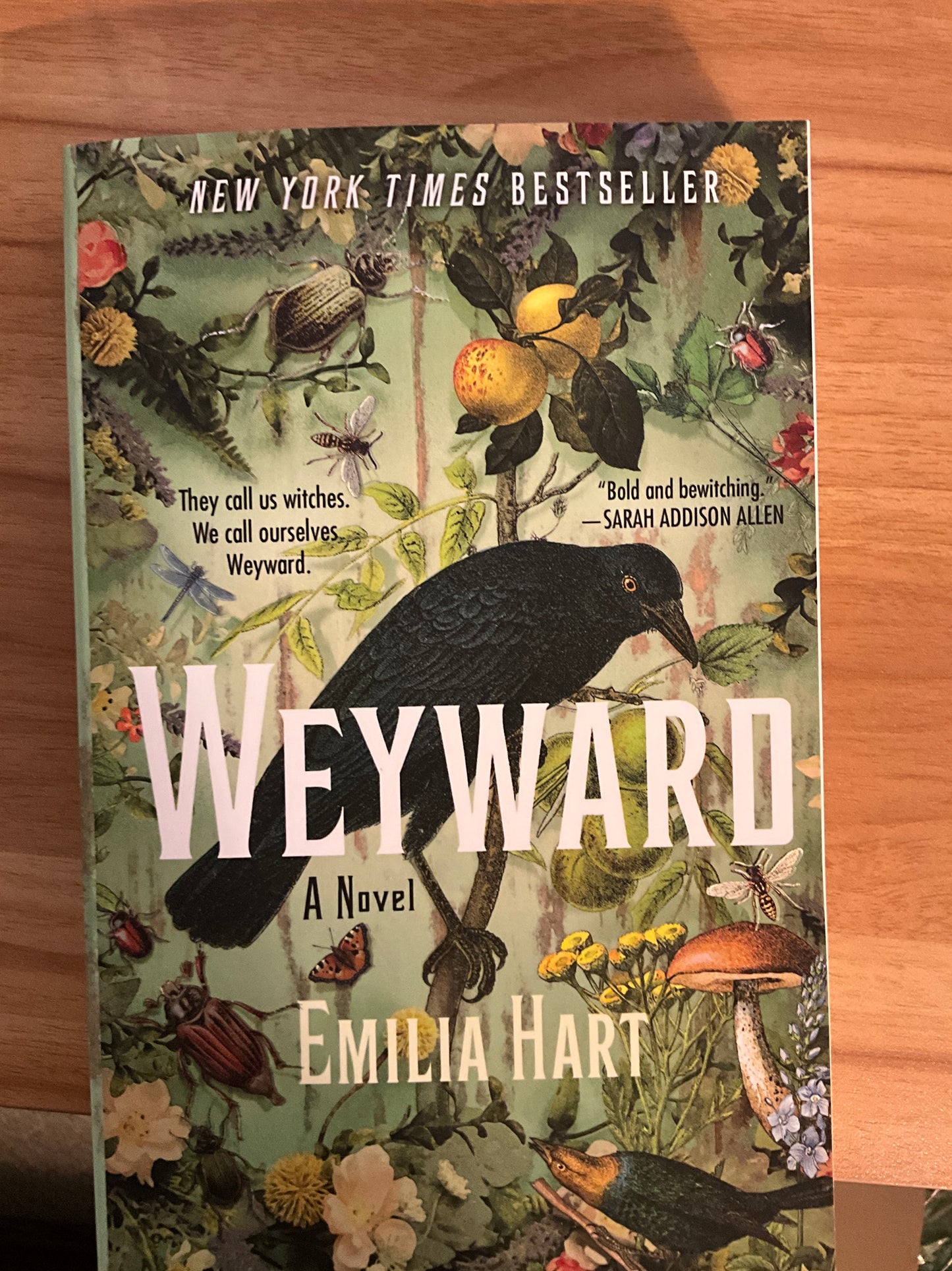Weyward by Emilia Hart