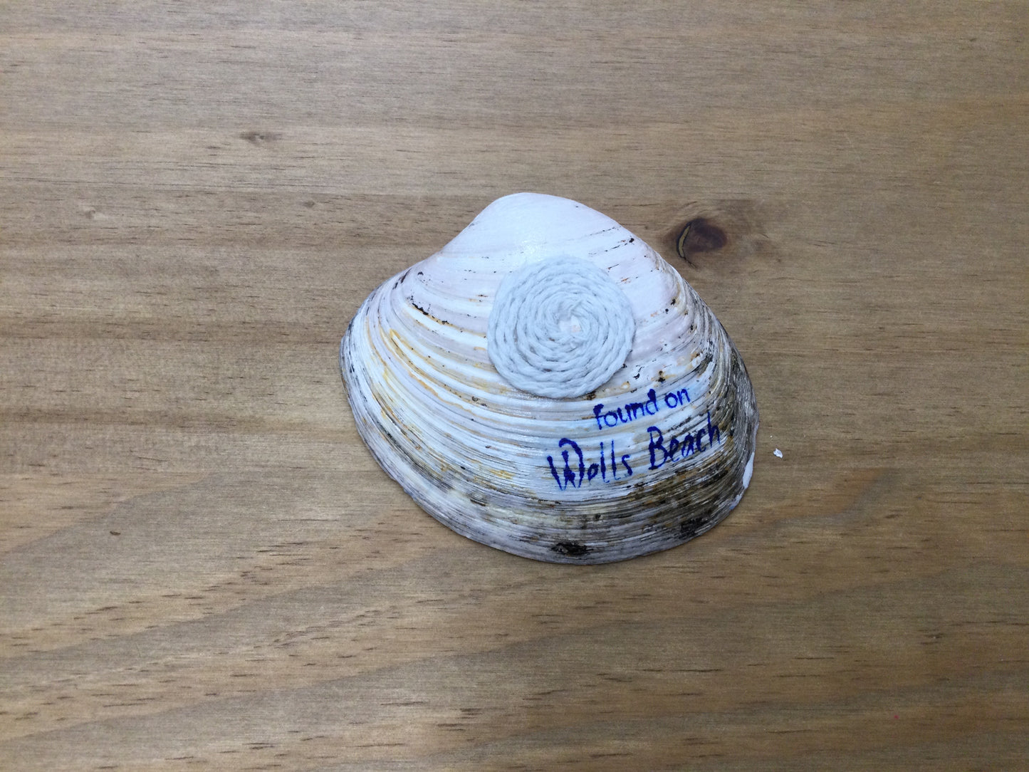 Nic’s Nacs Clam Shell Hydrangea Trinket Holder