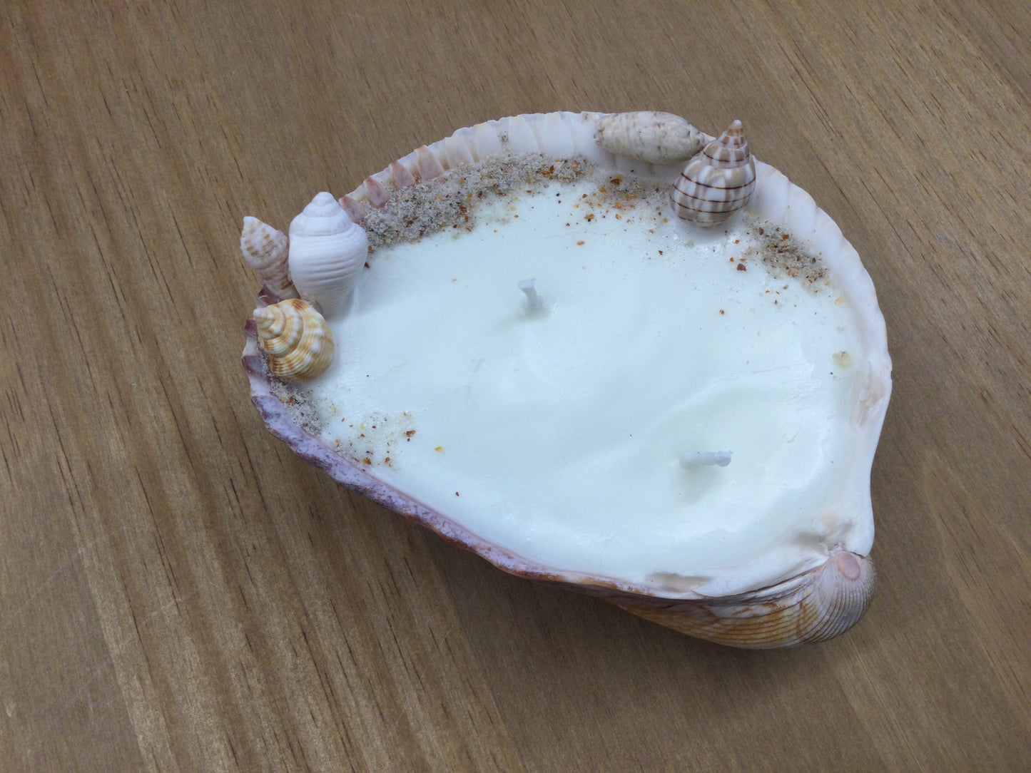 Nic’s Nac Cockle Shell Candle