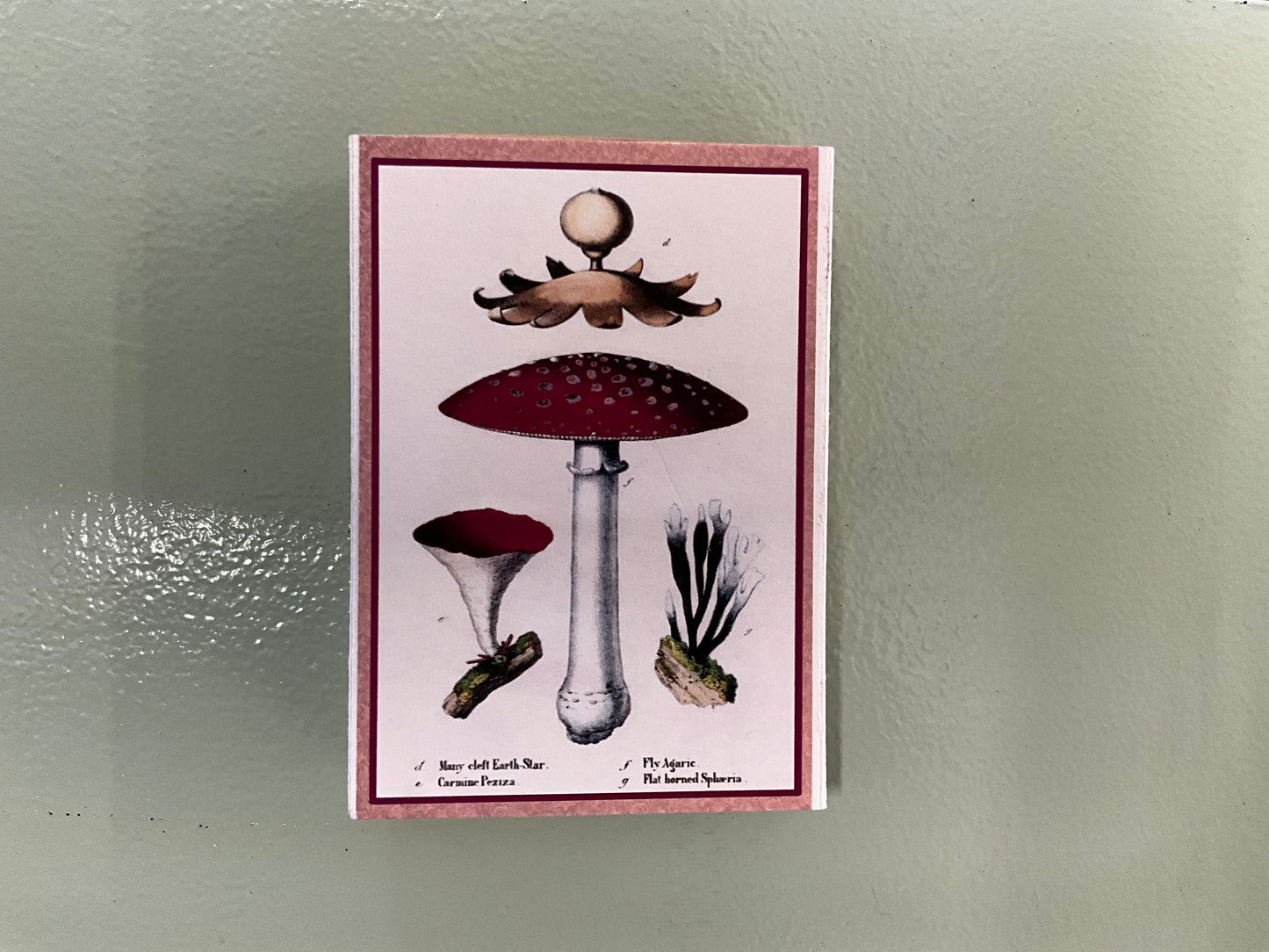 Handmade Matchboxes