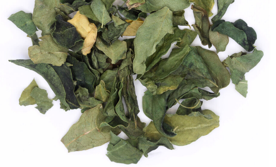 Moringa Leaves