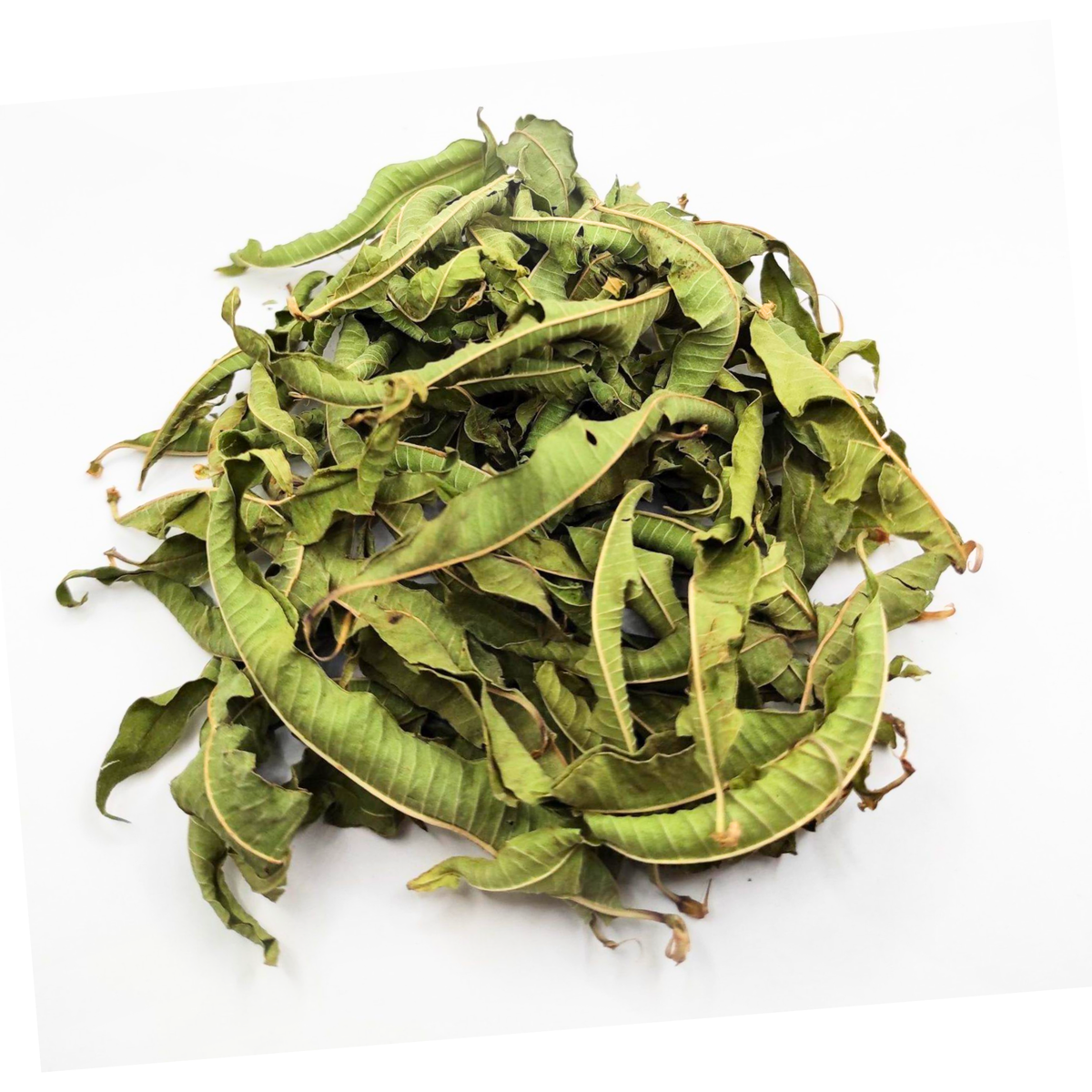 Lemon Verbena