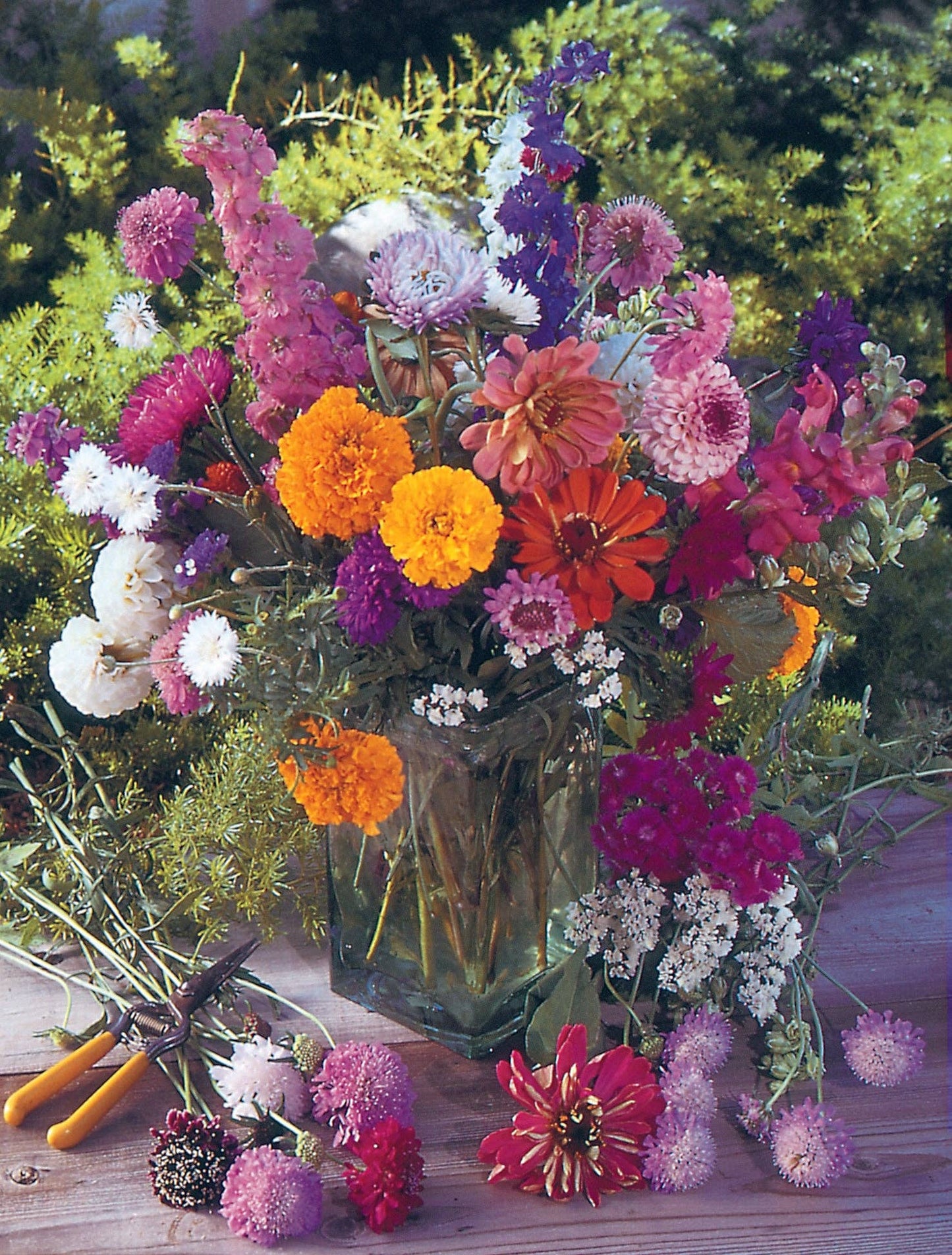 Help Hummingbirds - Pollinator Wildflower Seed Packets