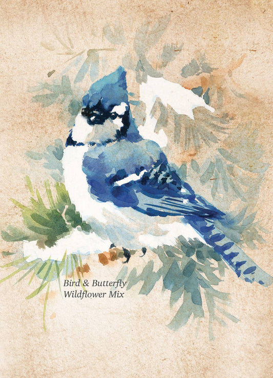 Snowy Blue Jay Happy Holidays Gift Tag Card - Seed Packets