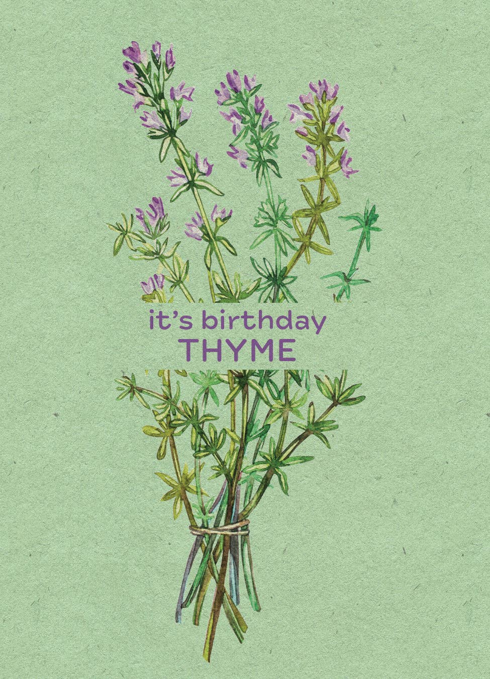 It's Birthday Thyme - Thyme Seed Packets
