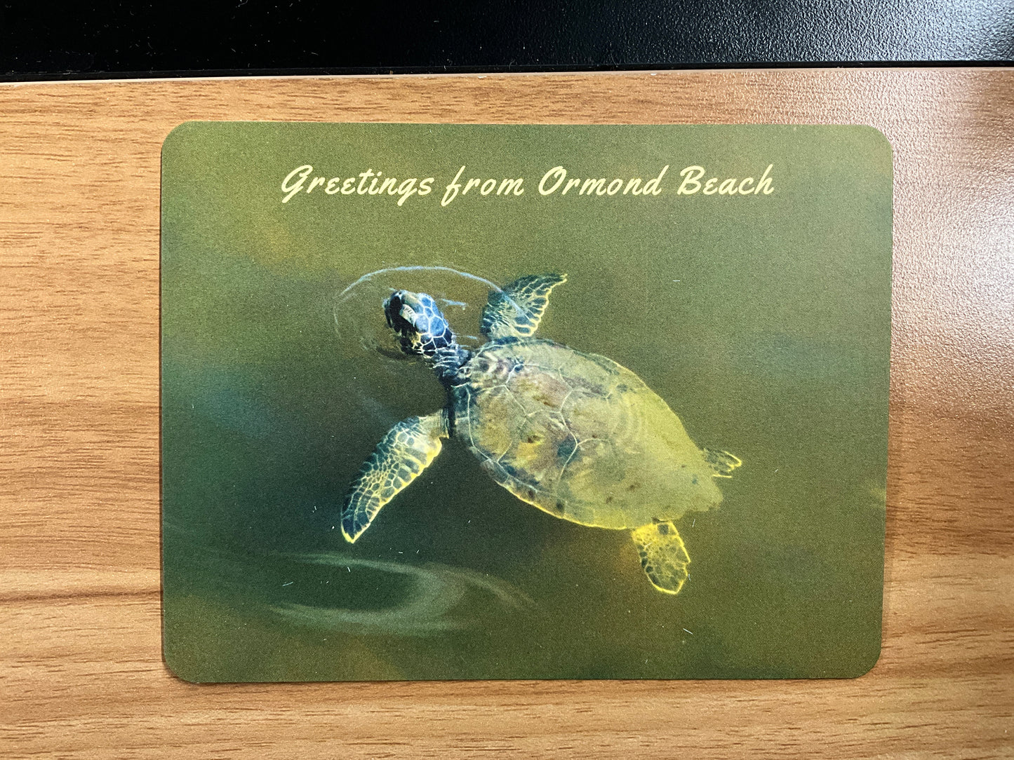 Postcards by Kyra Lieberman