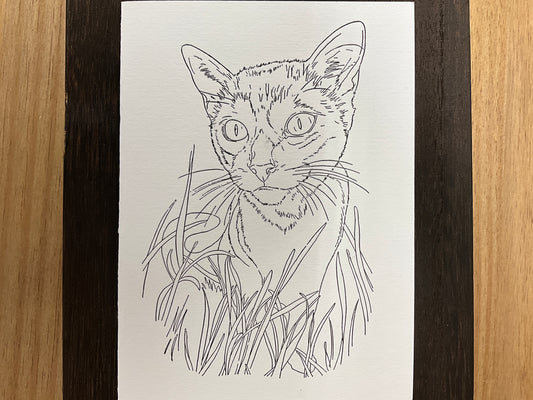 Beam Paint Cards - Paintables and Palette