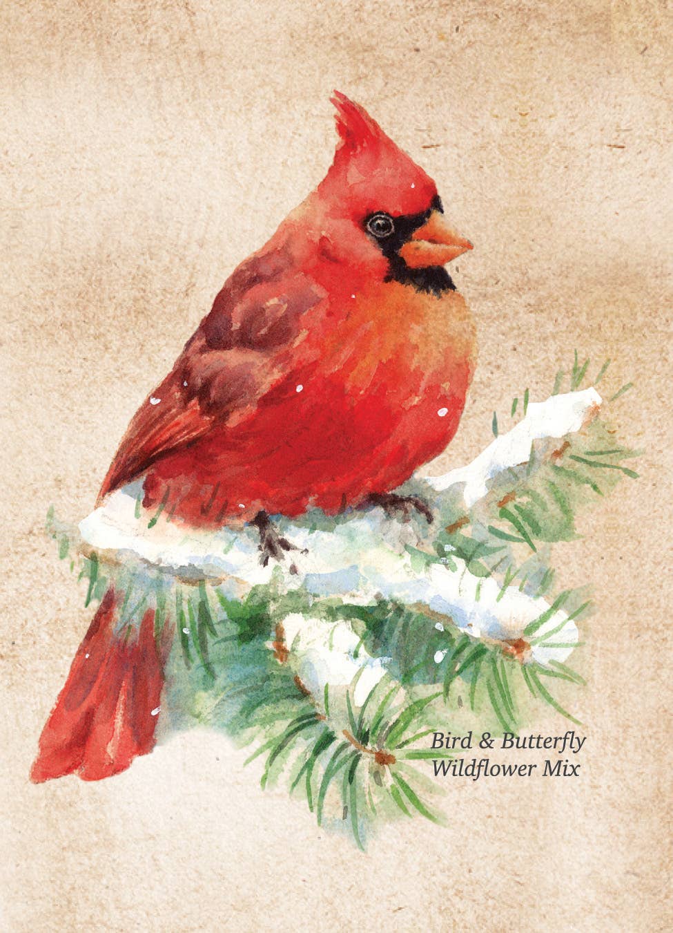Snowy Cardinal Holiday Gift Tag - Wildflower Mix Seed Packet