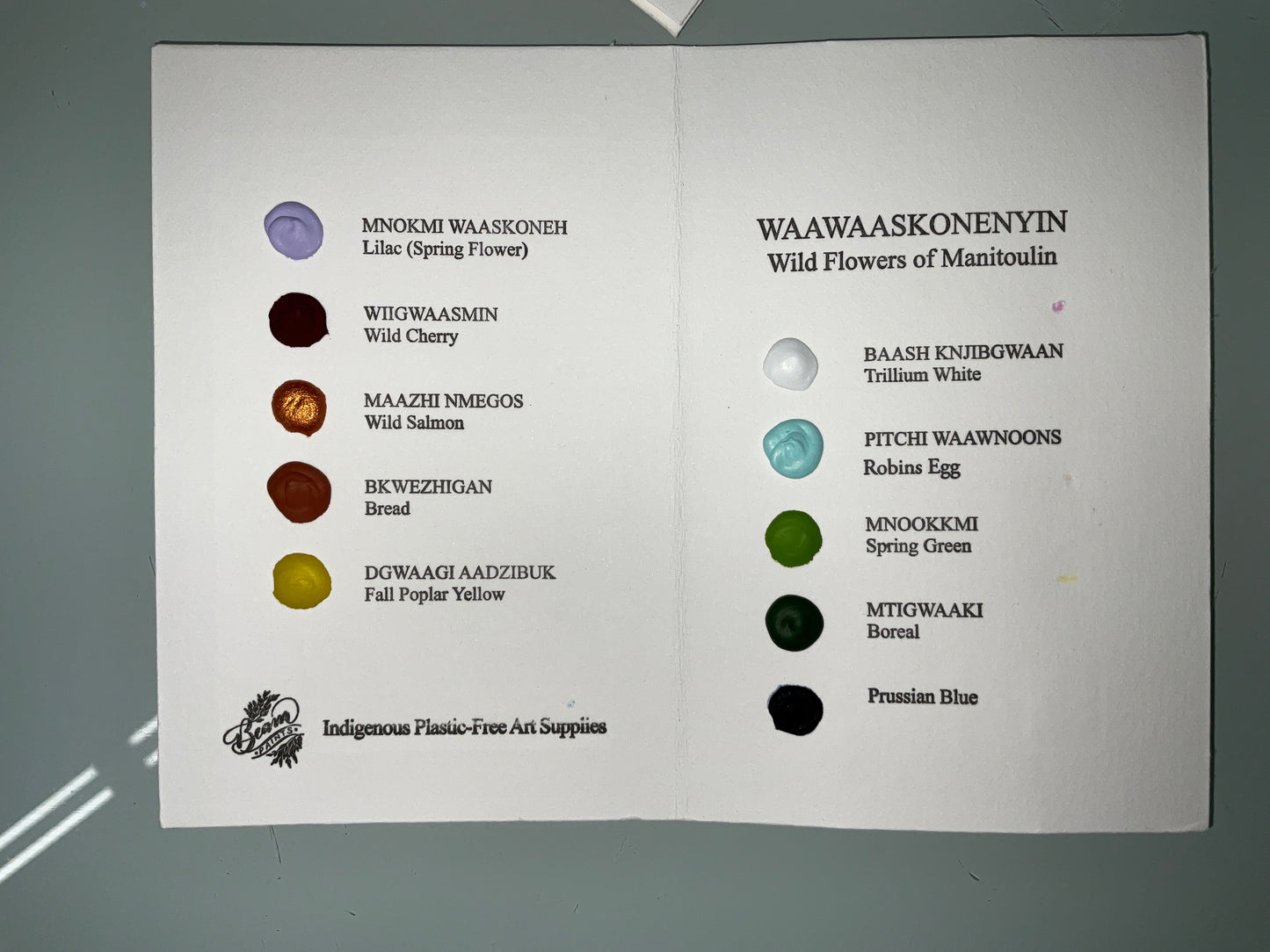 Beam Paints - Wildflowers of Manitoulin - Postcard set with palette