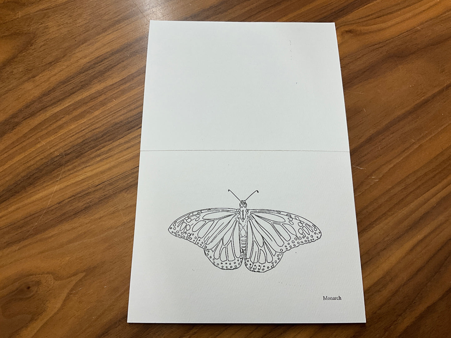 Beam Paints - 8 Page Paintables