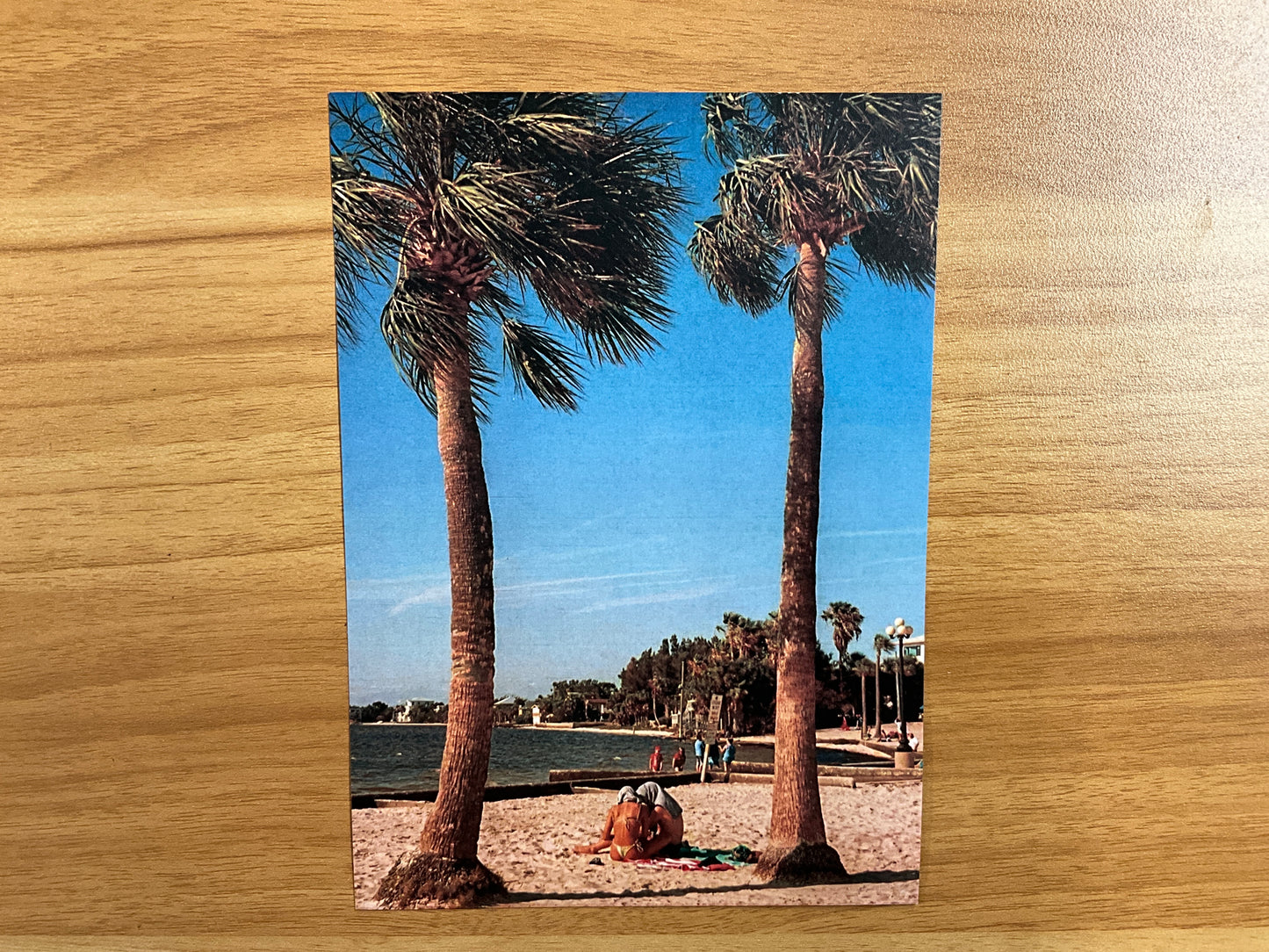 Postcards by Kyra Lieberman