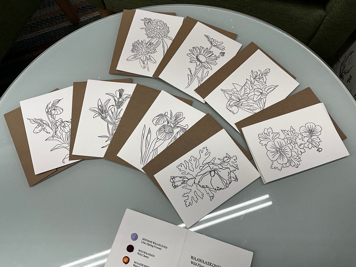 Beam Paints - Wildflowers of Manitoulin - Postcard set with palette