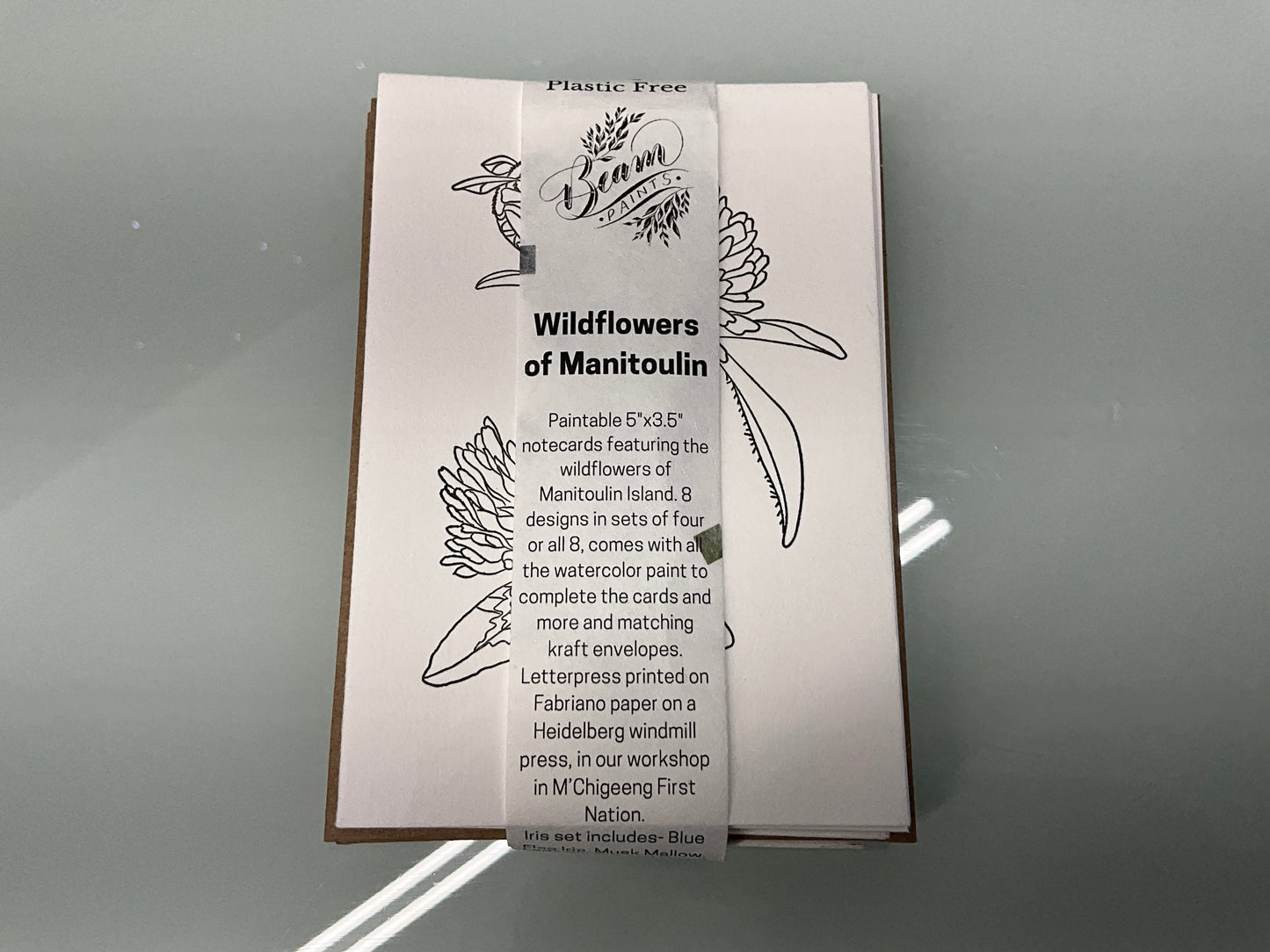 Beam Paints - Wildflowers of Manitoulin - Postcard set with palette