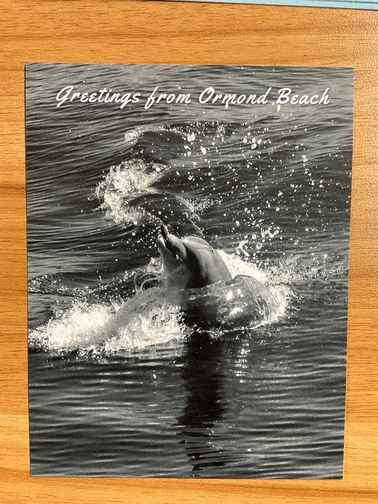 Postcards by Kyra Lieberman