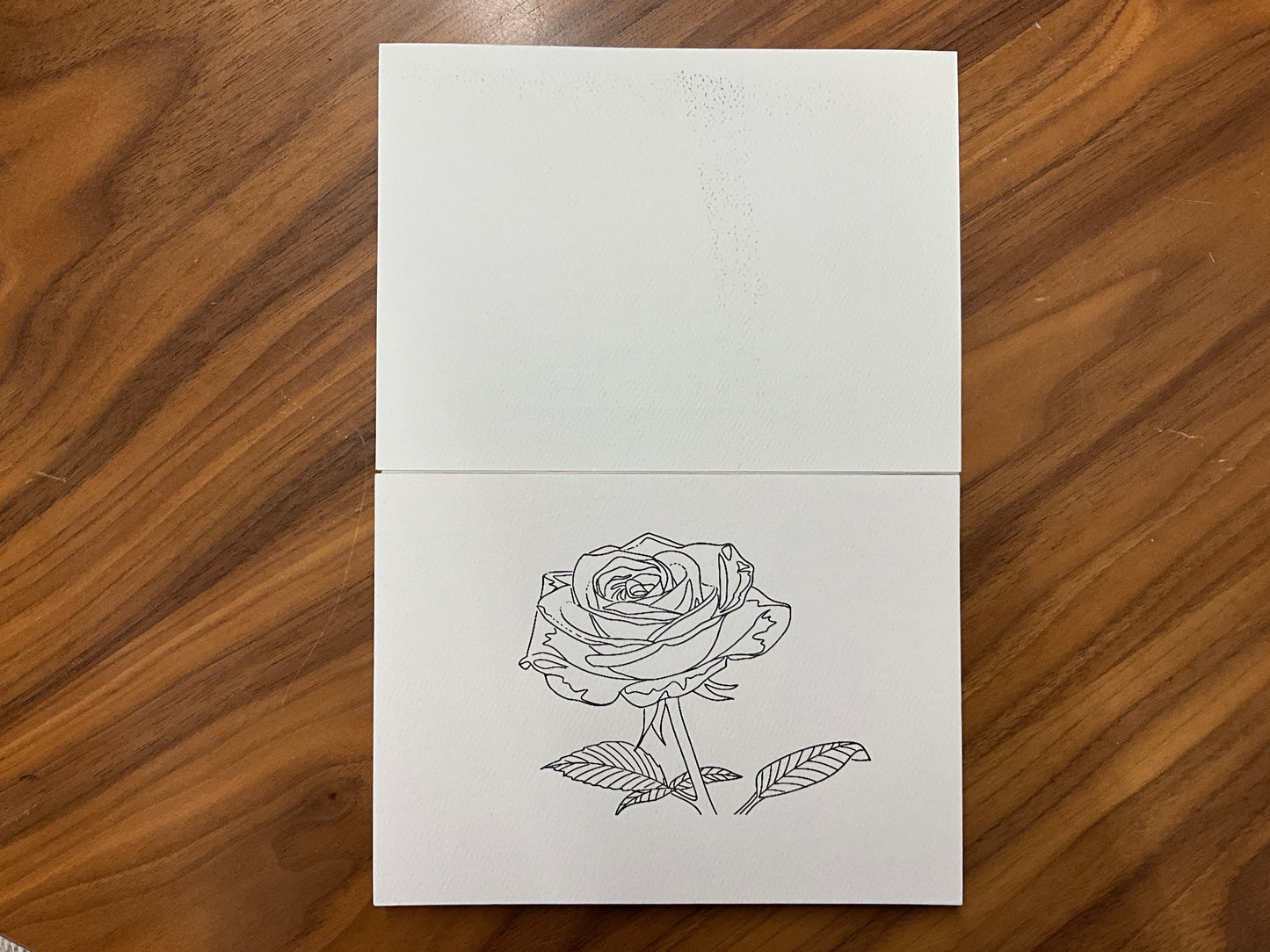 Beam Paints - 8 Page Paintables