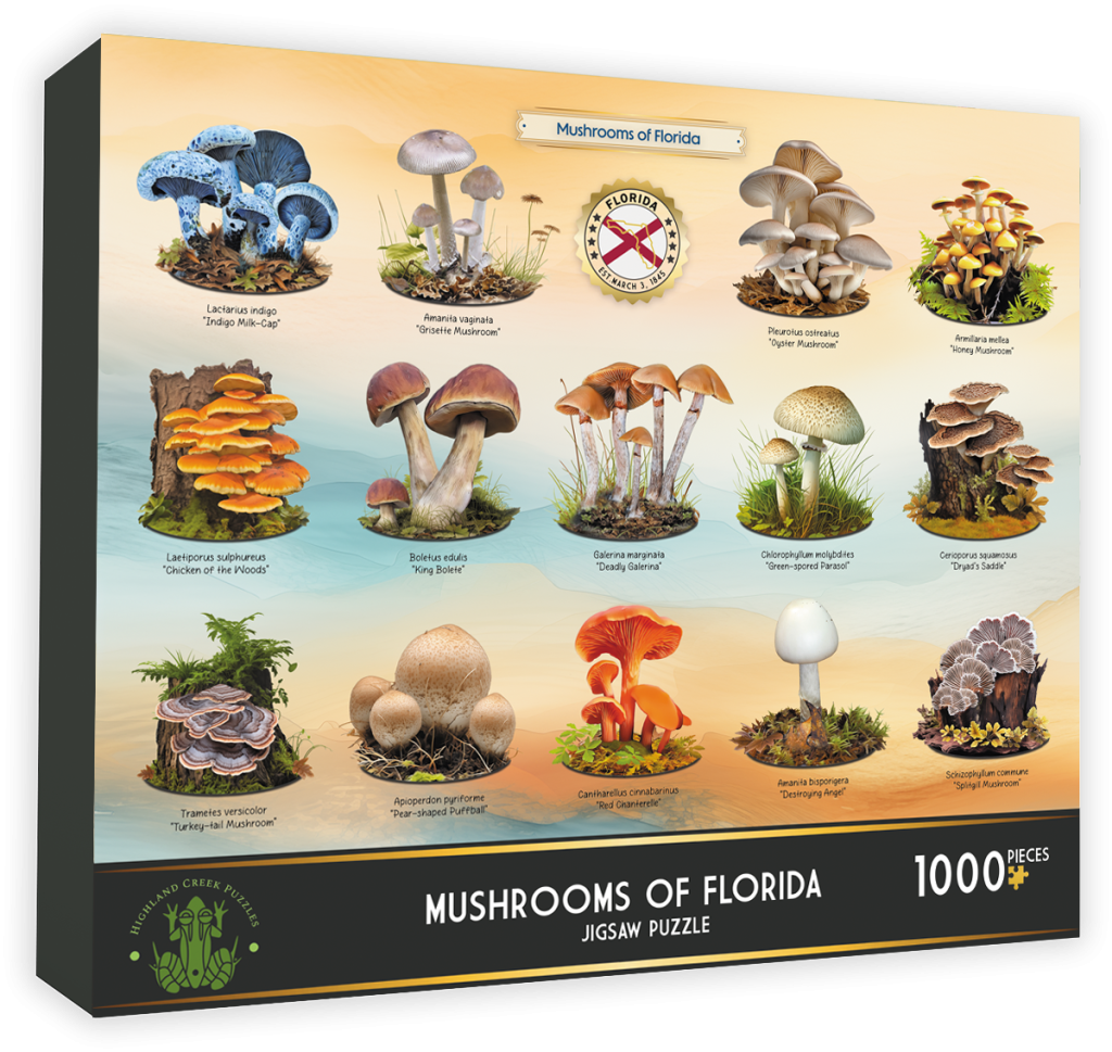 Highland Creek Puzzles