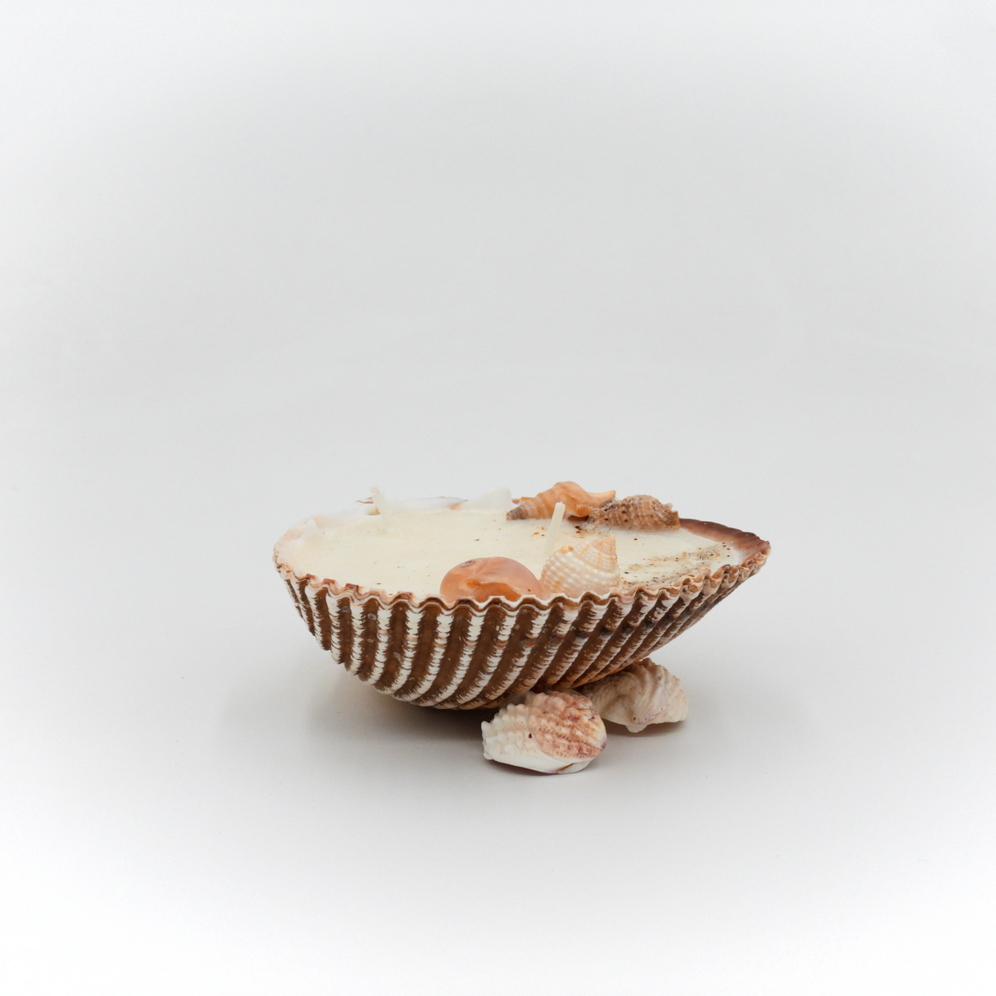 Nic’s Nac Cockle Shell Candle
