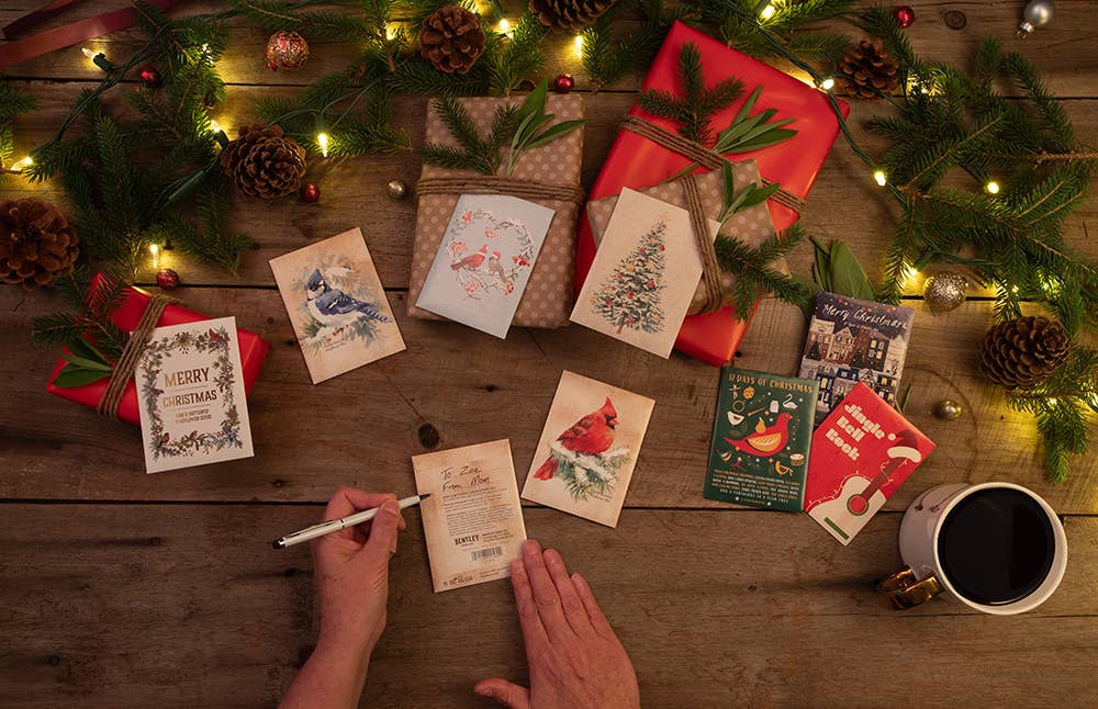 Snowy Cardinal Holiday Gift Tag - Wildflower Mix Seed Packet